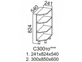 С300то Стол рабочий 300 (торцевой открытый) в Лабытнангах - labytnangi.magazin-mebel74.ru | фото