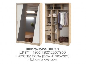 шкаф-купе ПШ-2.9 1500 Норд Белый жемчуг 1500 в Лабытнангах - labytnangi.magazin-mebel74.ru | фото