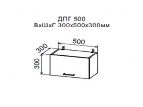 Шкаф верхний ДПГ500 горизонтальный в Лабытнангах - labytnangi.magazin-mebel74.ru | фото