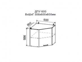 Шкаф верхний ДПУ600 угловой в Лабытнангах - labytnangi.magazin-mebel74.ru | фото