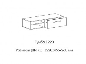 Тумба 1220 (низкая) в Лабытнангах - labytnangi.magazin-mebel74.ru | фото